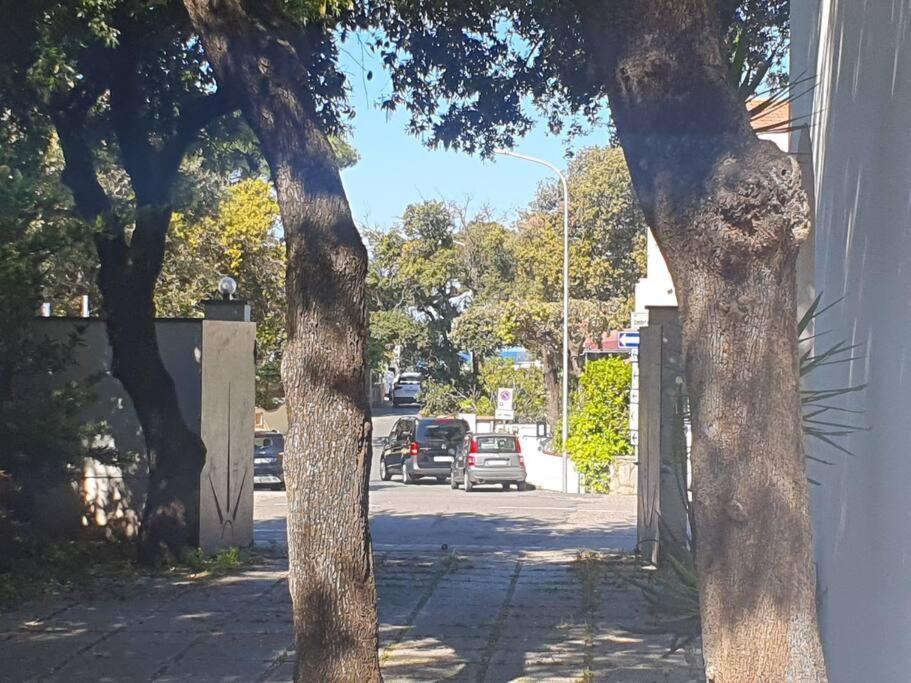 Ferienwohnung Lecci Al Mare San Vincenzo Exterior foto